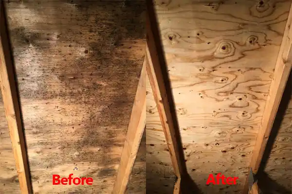 water damage restoration service Marlborough